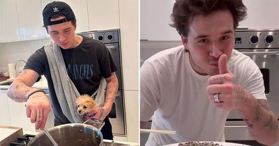 Brooklyn Beckham finally admits he's NOT a chef as he's called 'stupid' after food errors