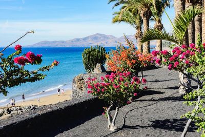 Lanzarote is top Easter getaway destination as holiday sales soar