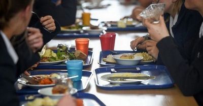 Holiday Hunger and school counselling scheme scrapped amid budget cuts