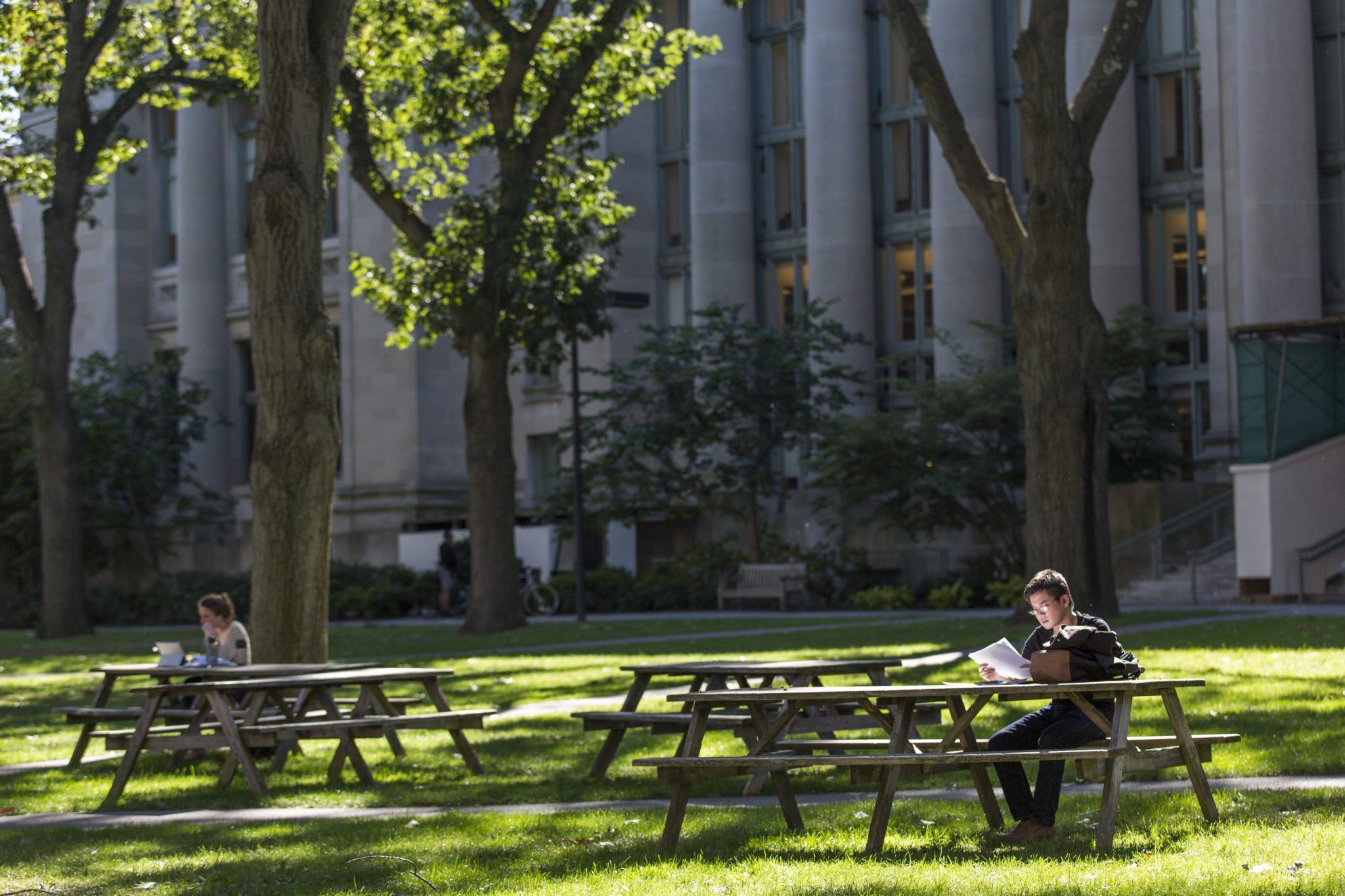 Career experts are convinced Ivy League degrees are…