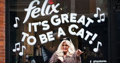 Gemma Collins says we should 'be more cat' as she opens feline-themed café