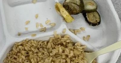 Teacher blasts 'sad' school dinners that are 'not even acceptable for jail food'