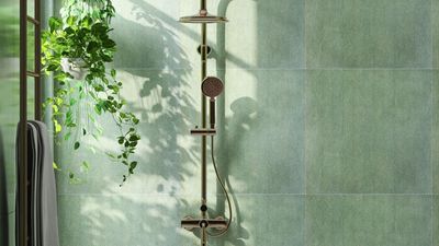 How to clean mold in the shower, stop it coming back and why it forms in the first place