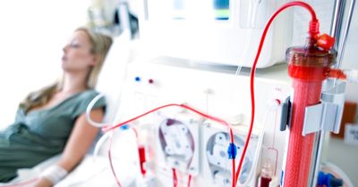 'Step closer to a safer way of stopping kidney failure and need for dialysis in diabetics'