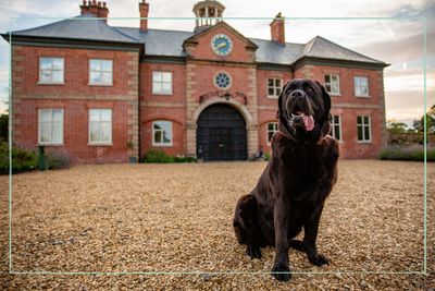 Where is The Dog Academy filmed on Channel 4? Filming locations