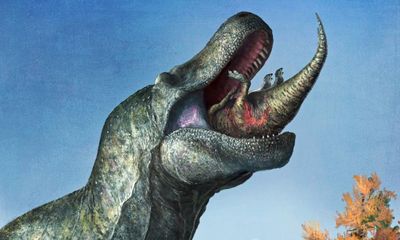 Tyrannosaurus rex had lips over its teeth, research suggests