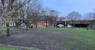 Council responds to questions over popular city centre park left a muddy mess