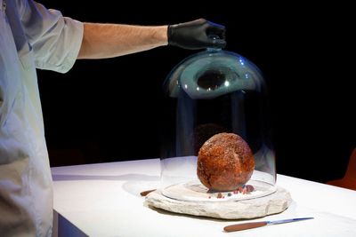 Scientists have created a meatball made from a genetically-engineered mammoth—but no one is allowed to eat it