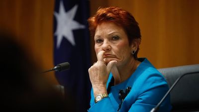 Pauline Hanson says Labor broke an 'election promise' on migration. Did it even exist?