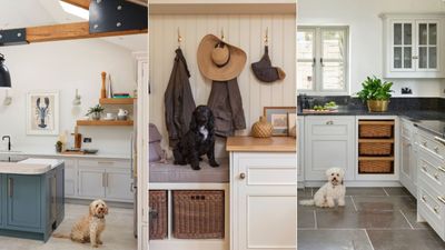 A British kitchen brand just launched a 'kitchen for pets'