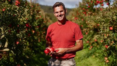 Tassie apple variety Southern Bliss about to enter market as national harvest numbers drop