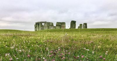 Meadows to be established at historic English sites to mark King’s coronation