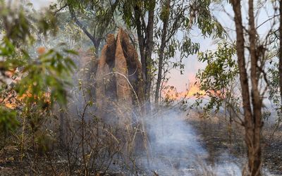 Cultural burning expansion to reduce bushfire risk
