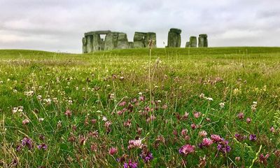 Meadows to return at 100 historic sites in England to mark coronation