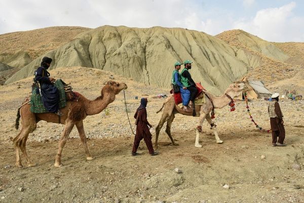 Camelback counters trek wilderness for Pakistan census