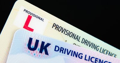 Martin Lewis urges drivers to pay £14 to avoid £1,000 licence fine