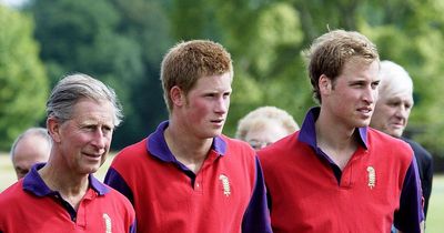 How King Charles has prepared Prince William and Prince Harry for Coronation