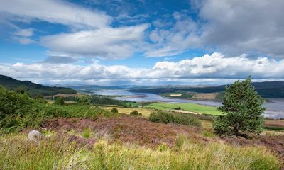 Oysters and whisky? Why the pairing could have huge benefits for wildlife in Scotland