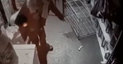 Woman banned from keeping dogs after being filmed hitting and kicking pups at her kennel business