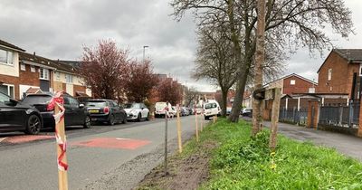 Furious residents put up spikes beside busy road to stop 'disgraceful' parking problems