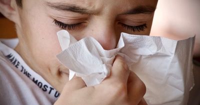 Sufferers advised to take action on hay fever medication now