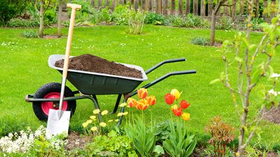 Should I use compost on a lawn? Lawn care experts give their verdict