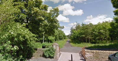 Creepy Edinburgh flasher exposes himself to young woman in quiet woods