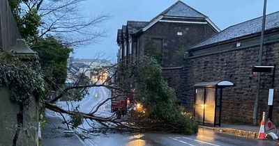 Storm Mathis hits UK with 100mph winds as trees topple and weather warning issued