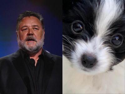 Russell Crowe announces death of ‘cheeky, brave’ dog Louis