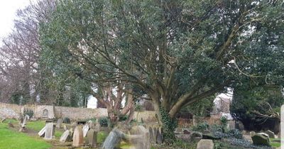 Eerie image of 'ghost' kneeling by grave captured in Outlander filming location