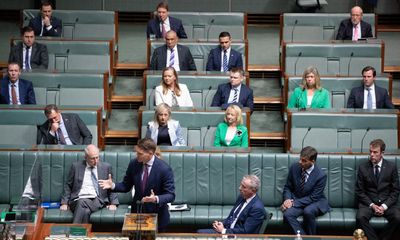 The closer you looked at Canberra this week, the uglier it got – especially MPs’ behaviour