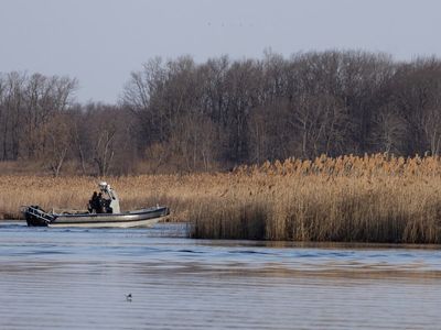 Six bodies found in marsh near New York-Quebec border