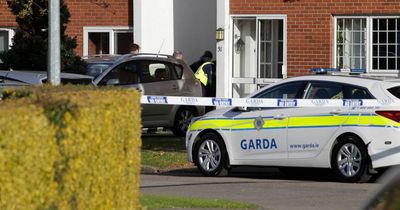 Chilling video made hours before mum and two kids were murdered in Dublin home shown at inquest