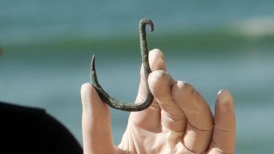 Ancient fish hook suggests sharks were hunted off Israel's coast 6,000 years ago