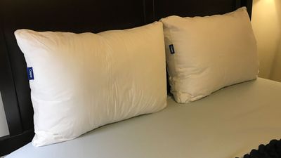Casper Down Pillow review: delightfully soft and supportive