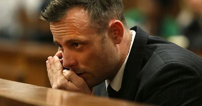 Oscar Pistorious 'wailed like a child' when confronted by Reeva Steenkamp's parents