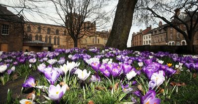 North East weather: Met Office forecasts showers and sunshine for first weekend of April