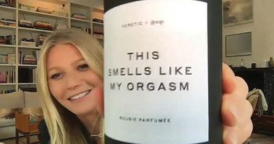 Inside Gwyneth Paltrow's biggest controversies - vagina candle to 'dangerous' diet