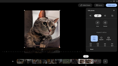 Google Photos is getting a major new feature on Chromebook