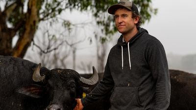 Some Mypolonga farms remain underwater, three months after River Murray flood peak