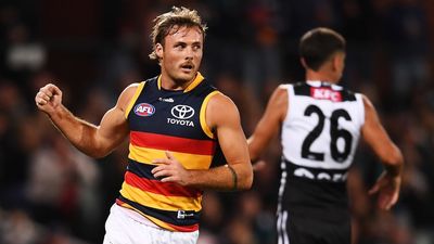 Adelaide claims 31-point Showdown AFL win over Power as St Kilda, Carlton and Hawthorn post victories