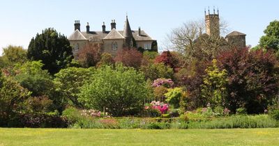 The top 10 wallflower gardens to visit in the UK this spring