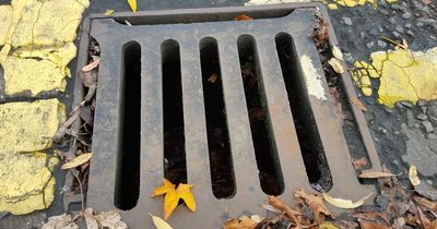 Spate of drain cover thefts in Cardiff suburb as council issues warning