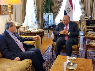 Egypt and Syria commit to closer ties as foreign minister visits Cairo