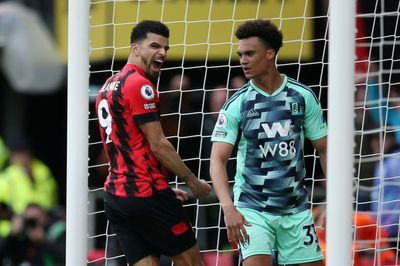 Bournemouth earn vital victory over Fulham after late Dominic Solanke strike