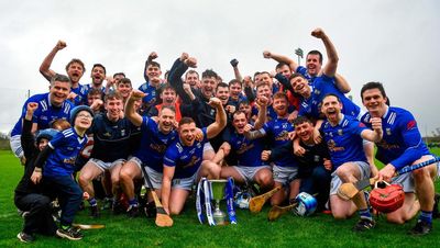 Ryan Delaney hits late point as Cavan snatch victory over Leitrim and win Division 3B