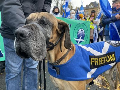 Band pays tribute to Sheldon – the well-known independence dog – after death aged 8