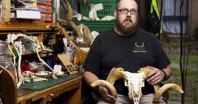 Is taxidermy stuffed? The rare trades at risk of extinction