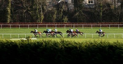 Punter wins €500,000 from incredible 50 cent horse racing bet