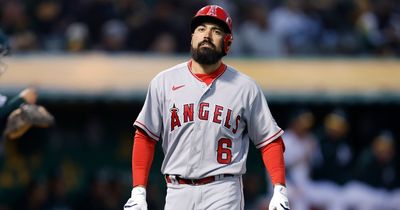 LA Angels baseman faces MLB investigation after clash with fan